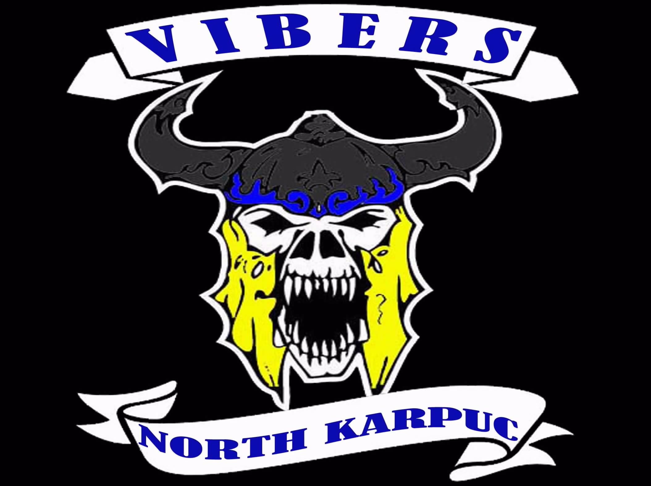 Logo VIKARA